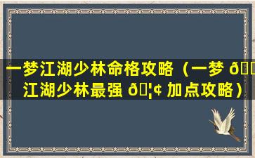 一梦江湖少林命格攻略（一梦 🌲 江湖少林最强 🦢 加点攻略）